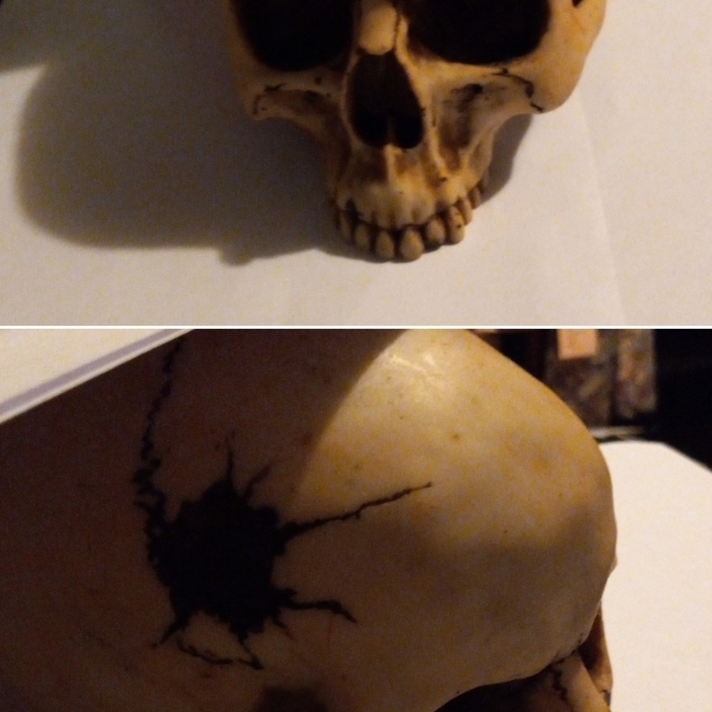 Artistic Realistic Weighted Tan Skull Accent Piece Vintage With Original Tags